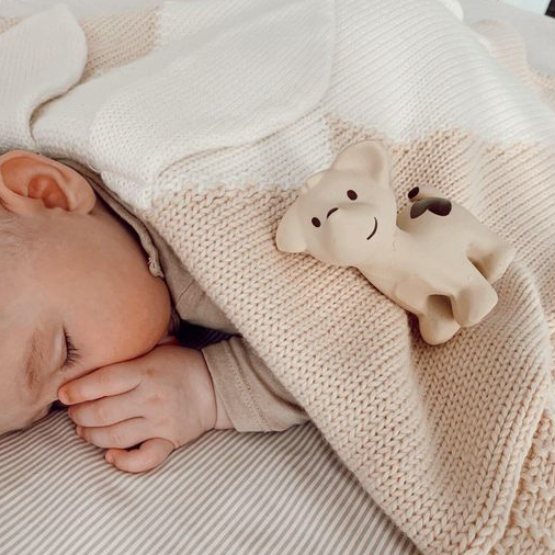 Little baby sleeping with his organic teether toy made of natural rubber